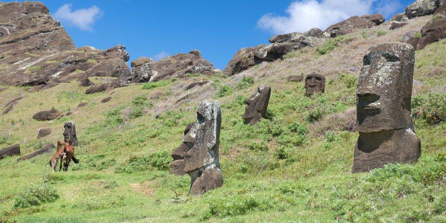 Busti Moai presenti sull'isola